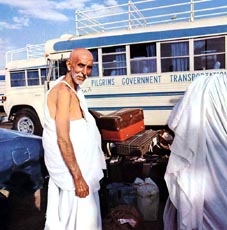 Government buses transporting pilgrims to Makkah Click to view high resolution version